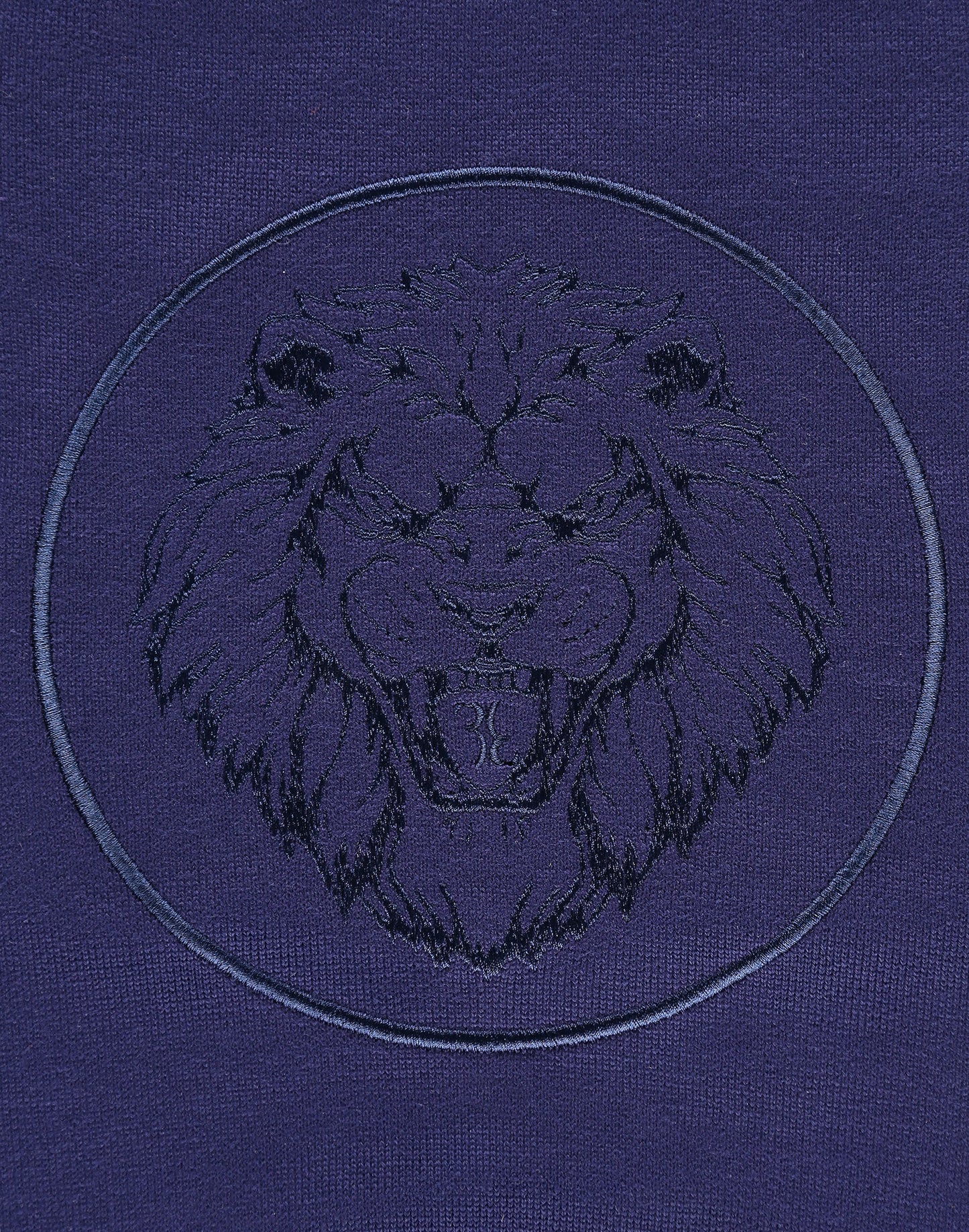 Pullover Round Neck LS Lion