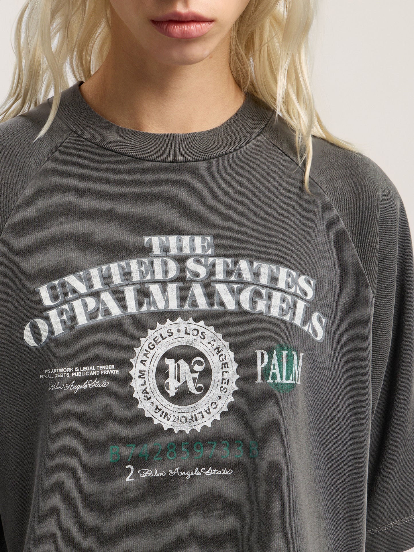 Dollar Cropped Tee