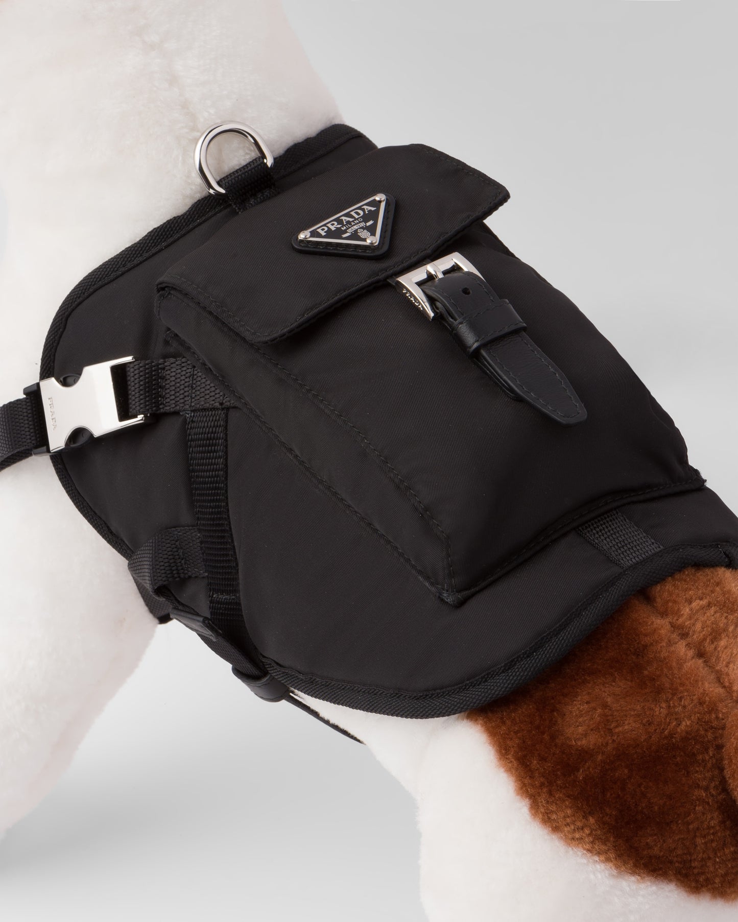 Re-Nylon dog harness