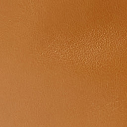 Sac Leyden Mini