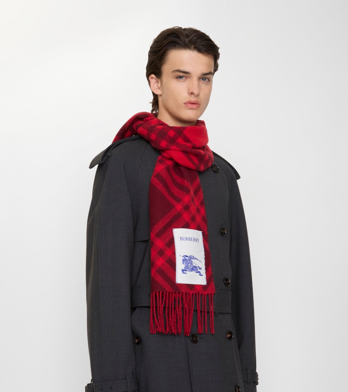 Check Cashmere Scarf in Oxblood red