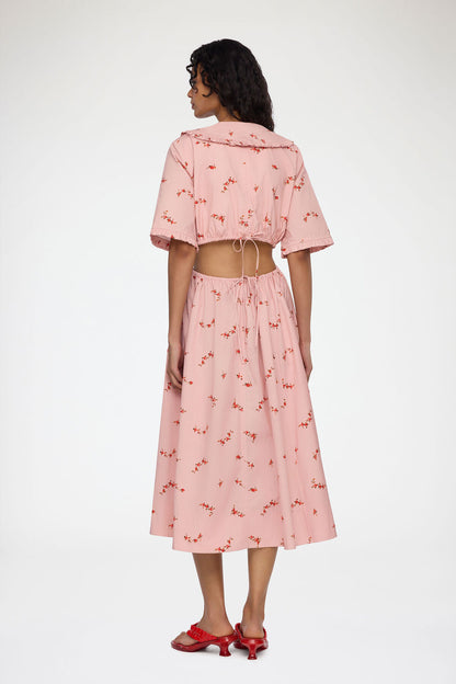 Dress in Pink Cotton