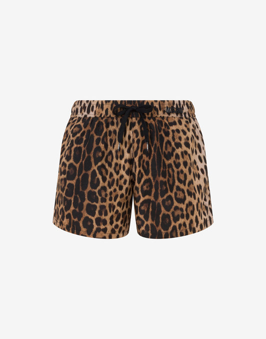 Boxer mare in nylon