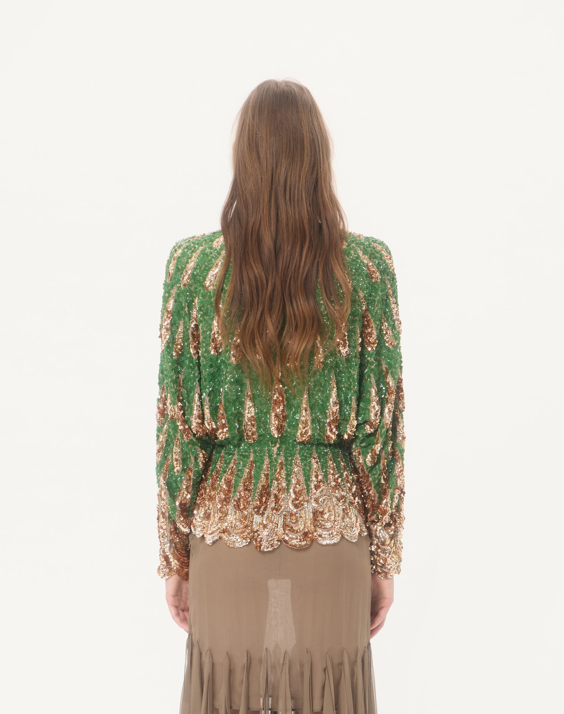 Embroidered Chiffon Top