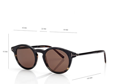 Round Horn And Titanium Sunglasses
