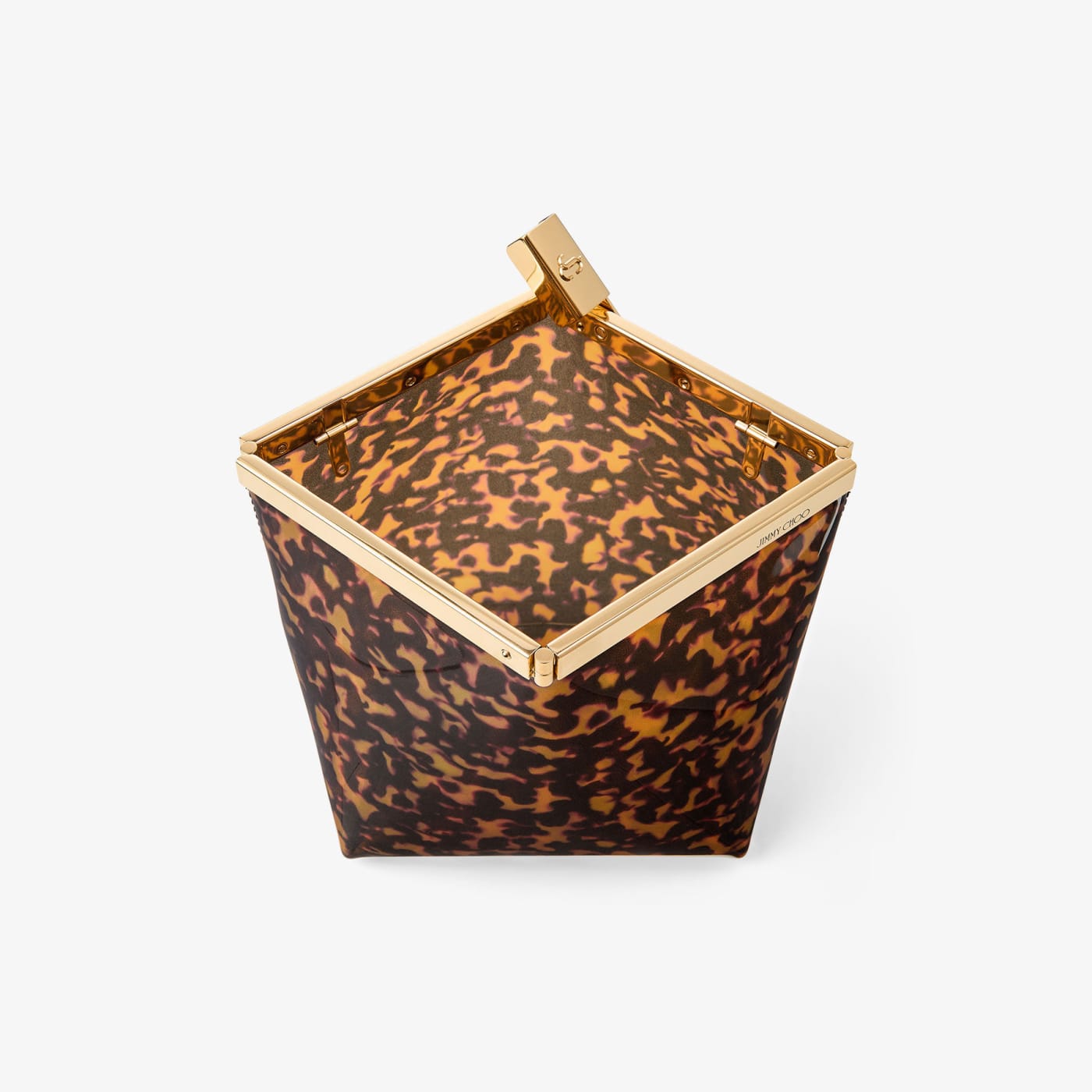 Ganache Transparent Tortoisehell Clutch Bag