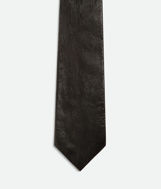 Shiny Leather Tie