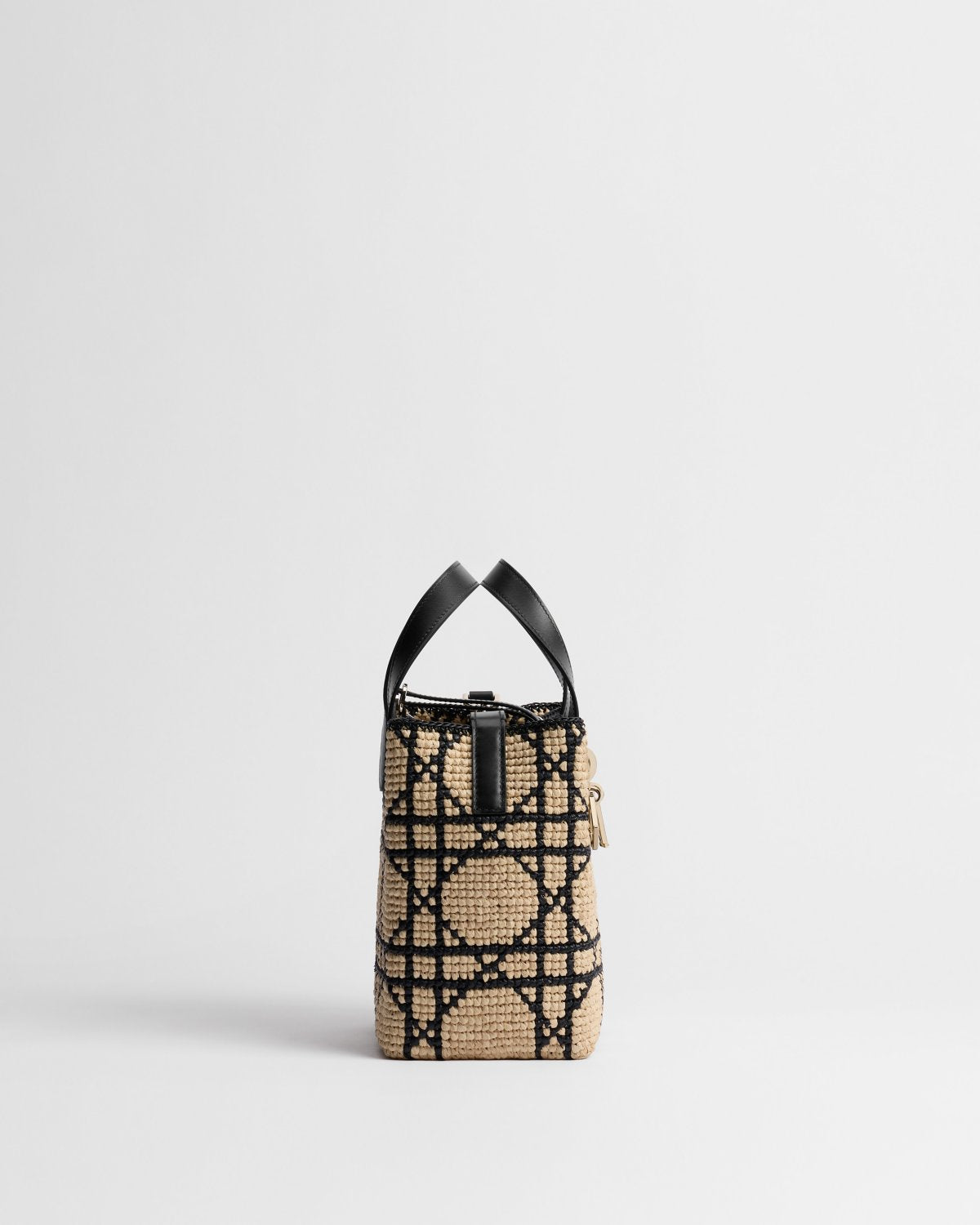 Small Dior Toujours Vertical Tote Bag