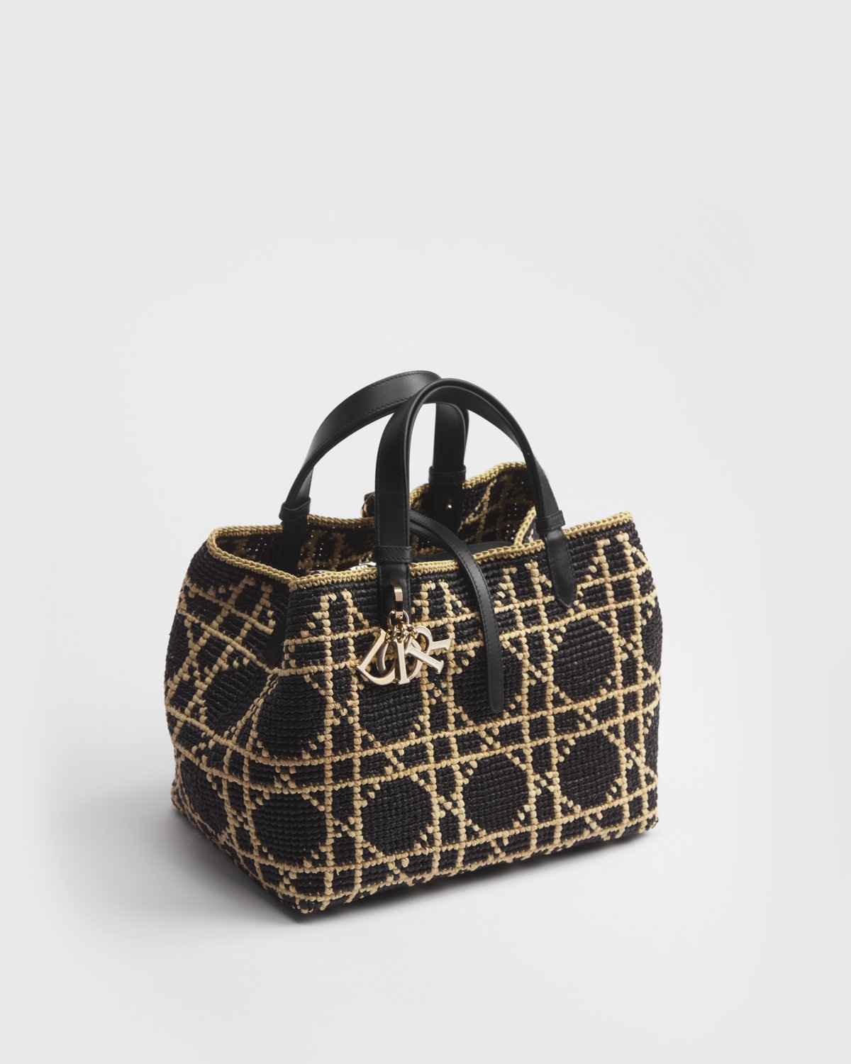 Medium Dior Toujours Bag