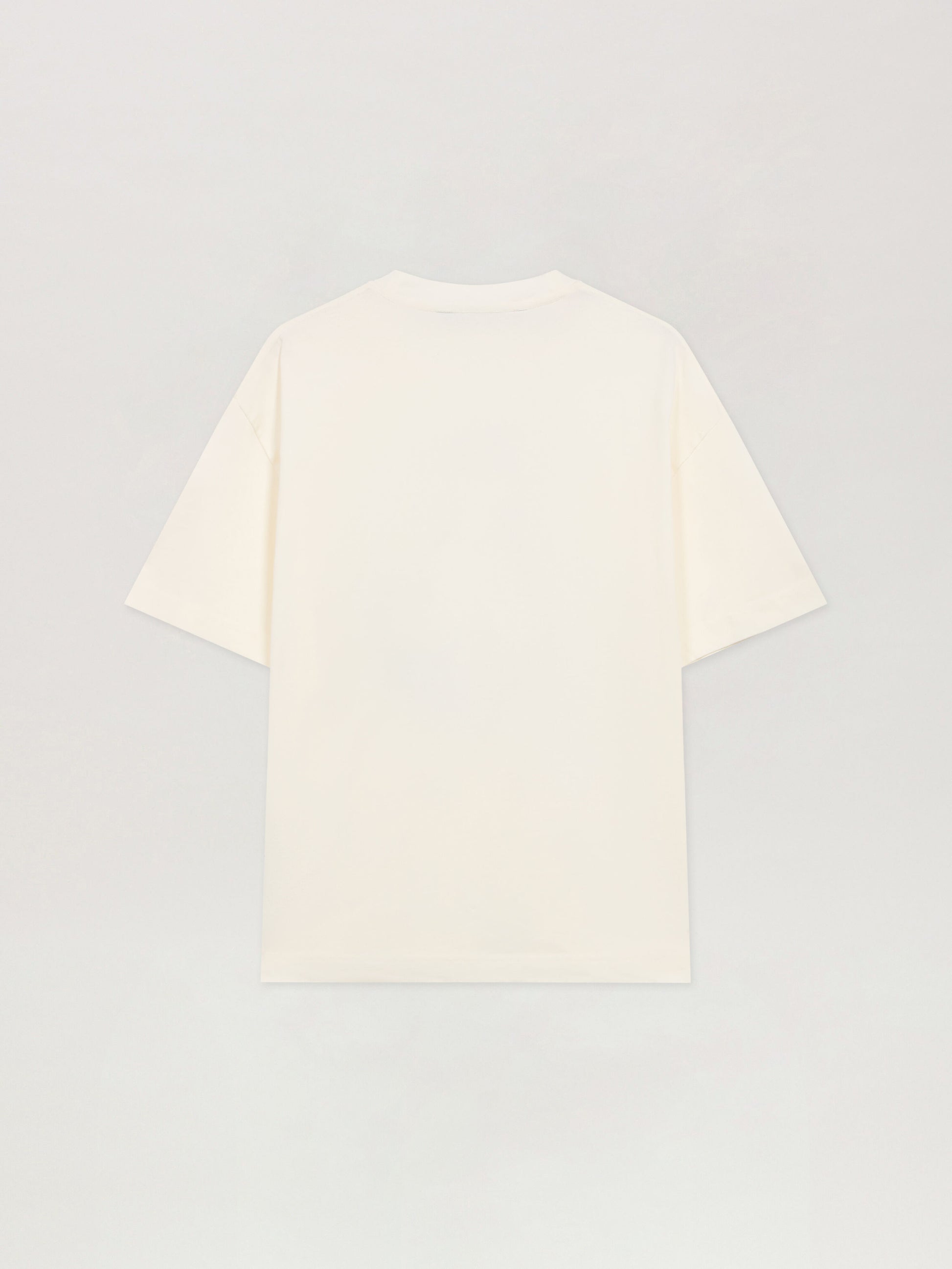 Spray Bear Reg T Shirt
