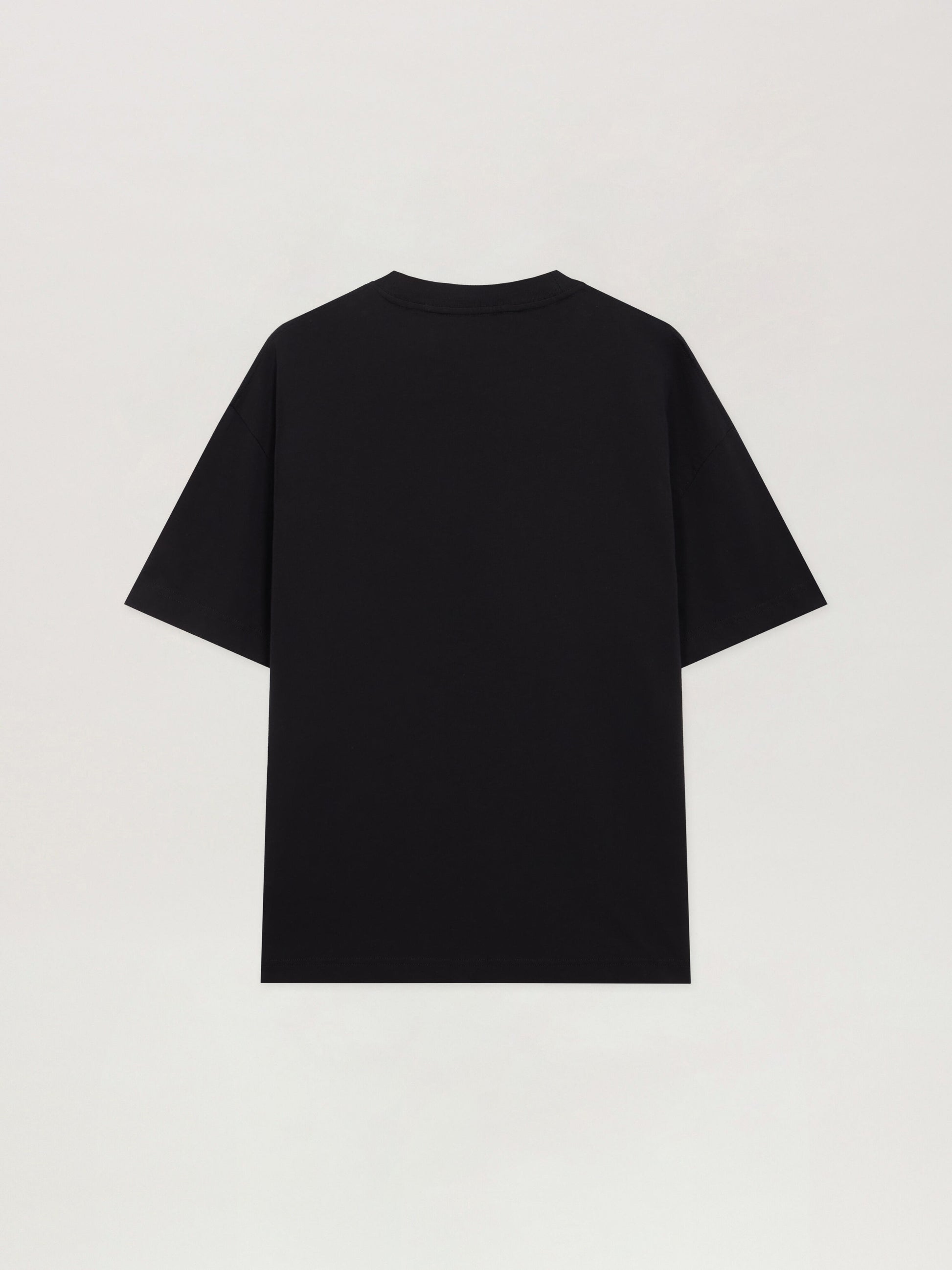 Spray Bear Regular T Shirt