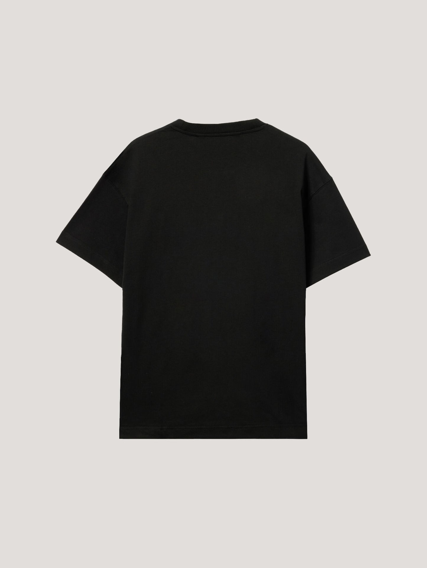 Pa X Everlast T Shirt