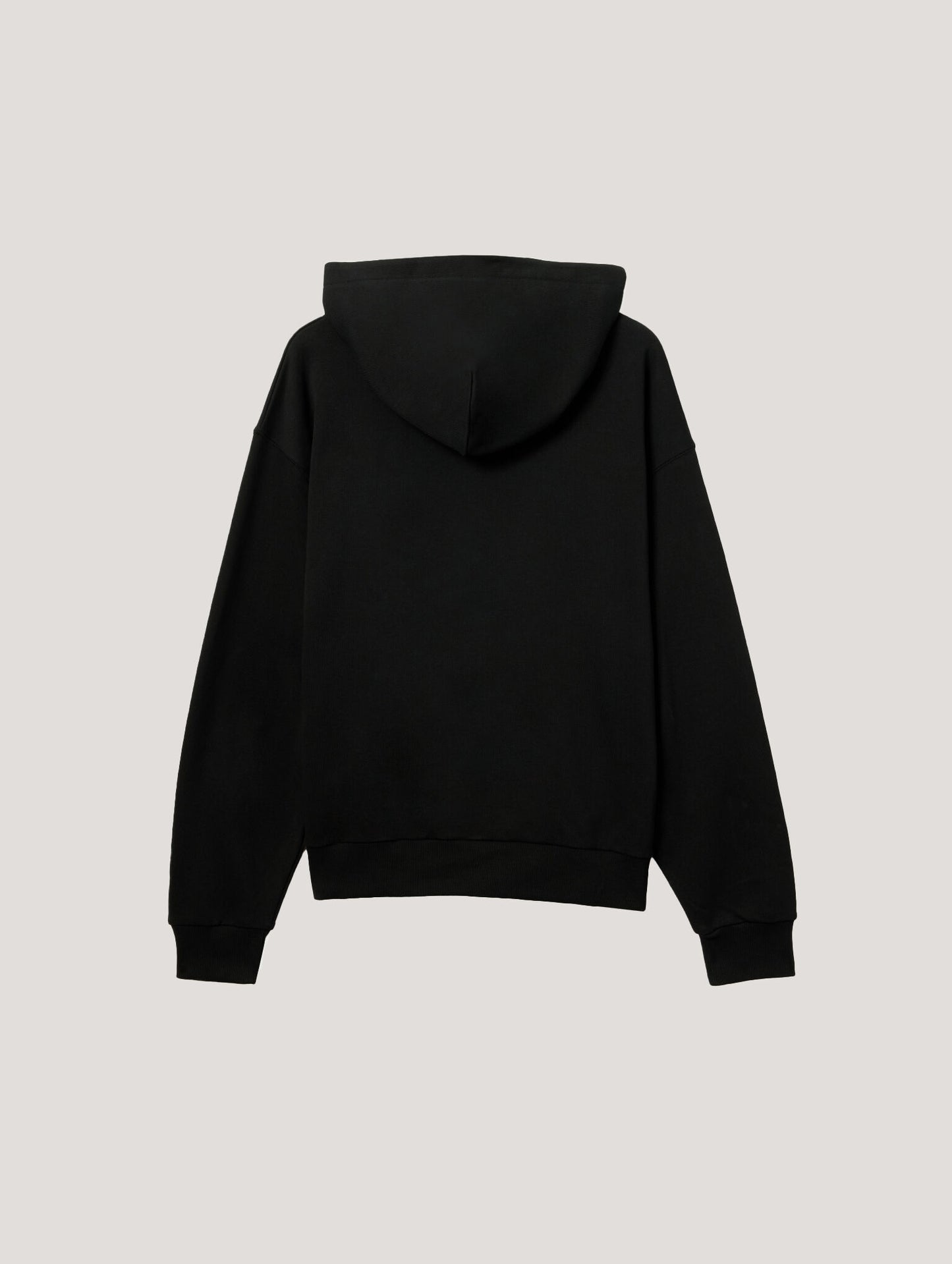 Pa X Everlast Regular Hoodie