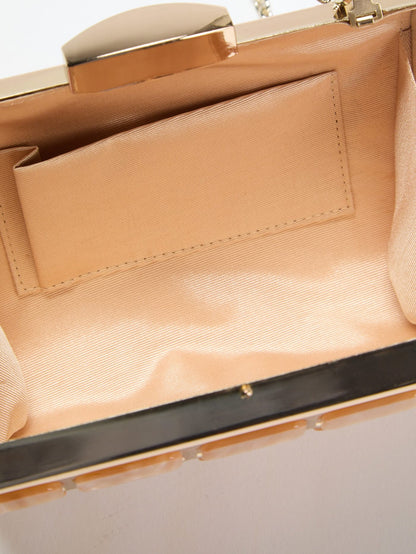 Emma Lucite Clutch