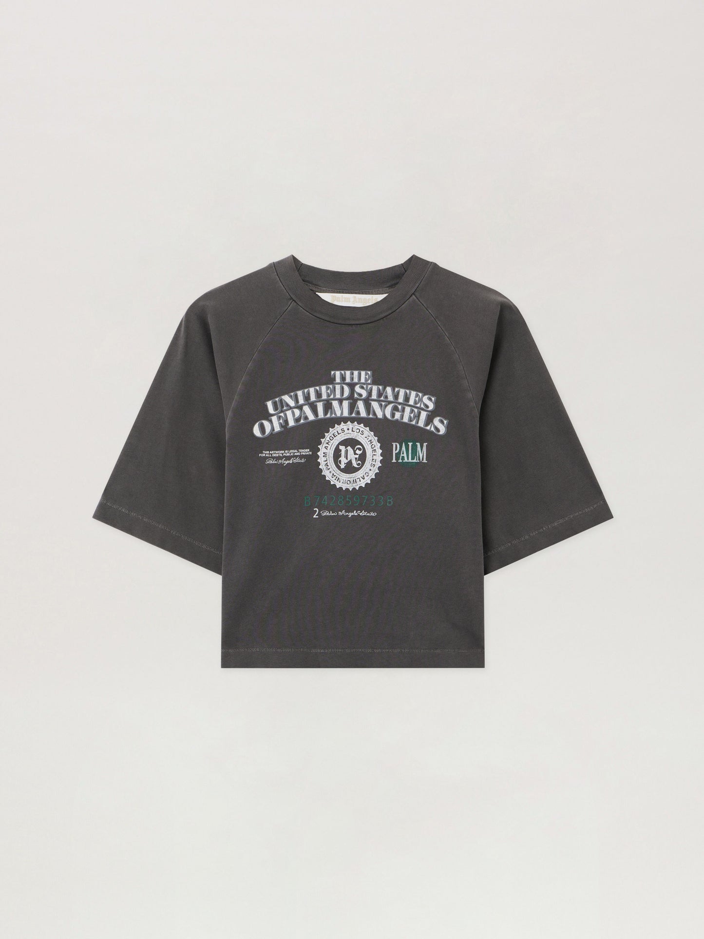 Dollar Cropped Tee