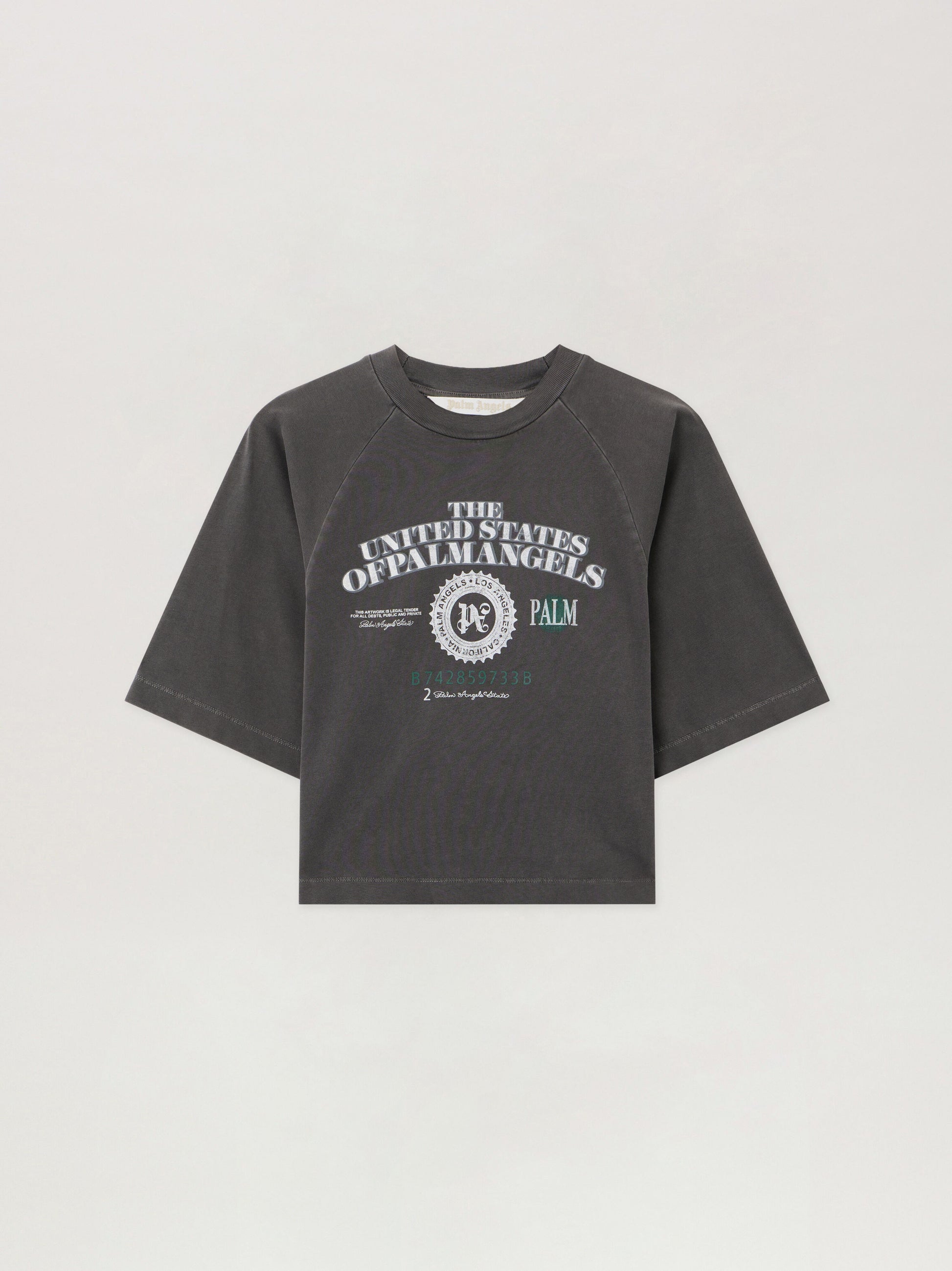Dollar Cropped Tee