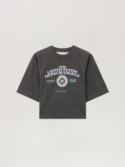 Dollar Cropped Tee