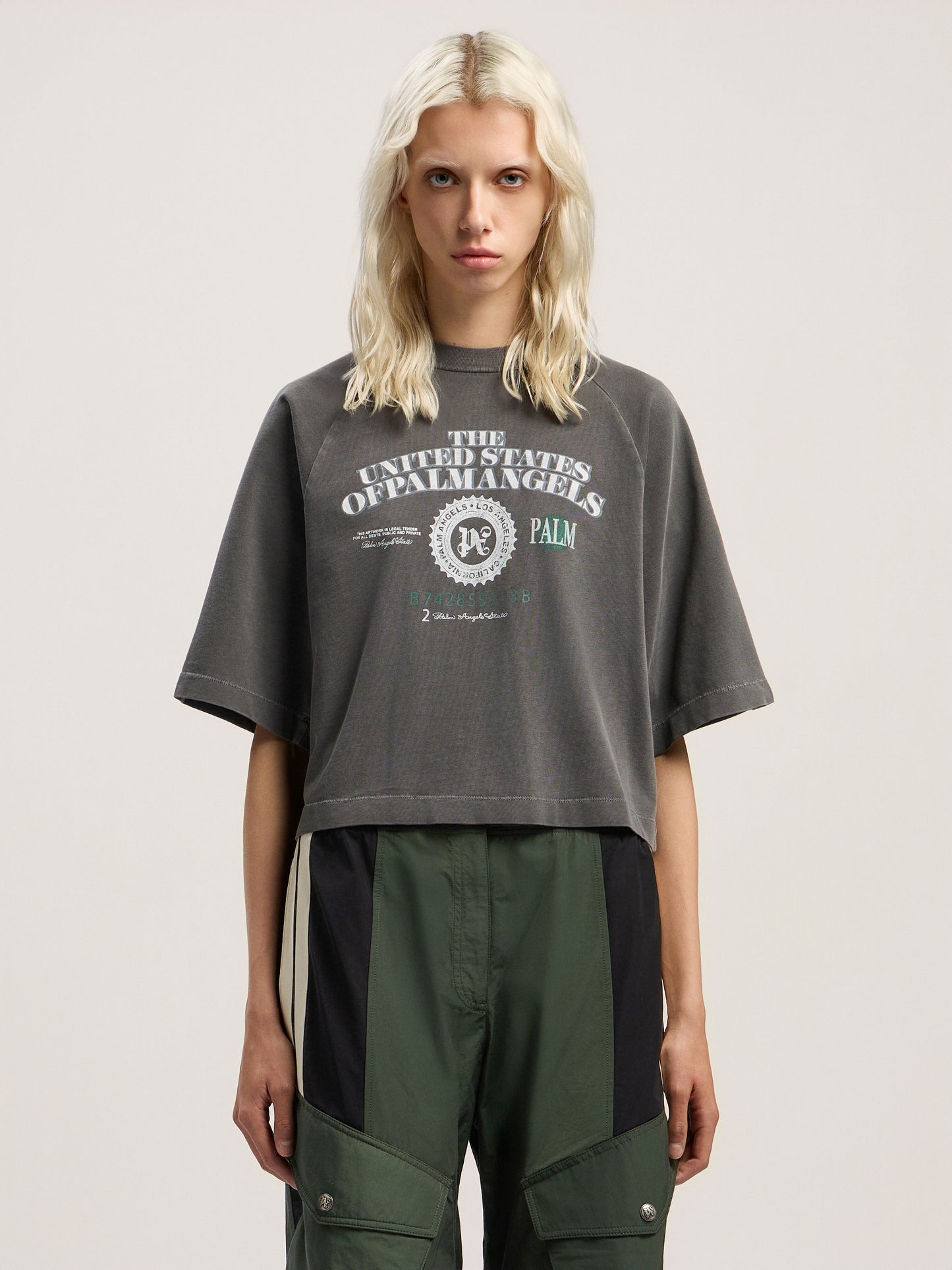 Dollar Cropped Tee