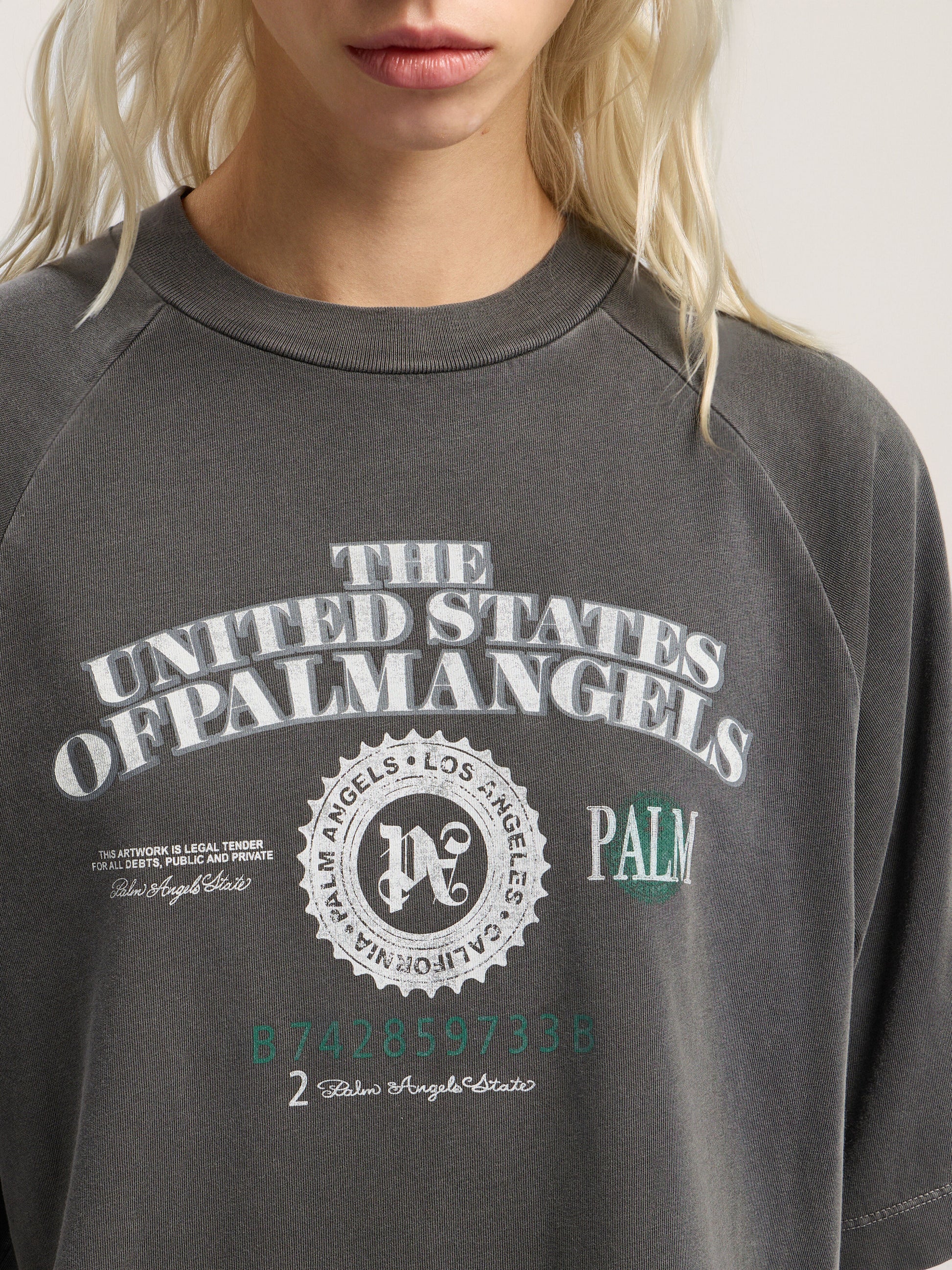 Dollar Cropped Tee