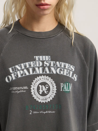 Dollar Cropped Tee
