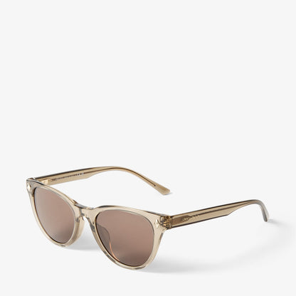 Trace Brown Transparent Pantos Sunglasses