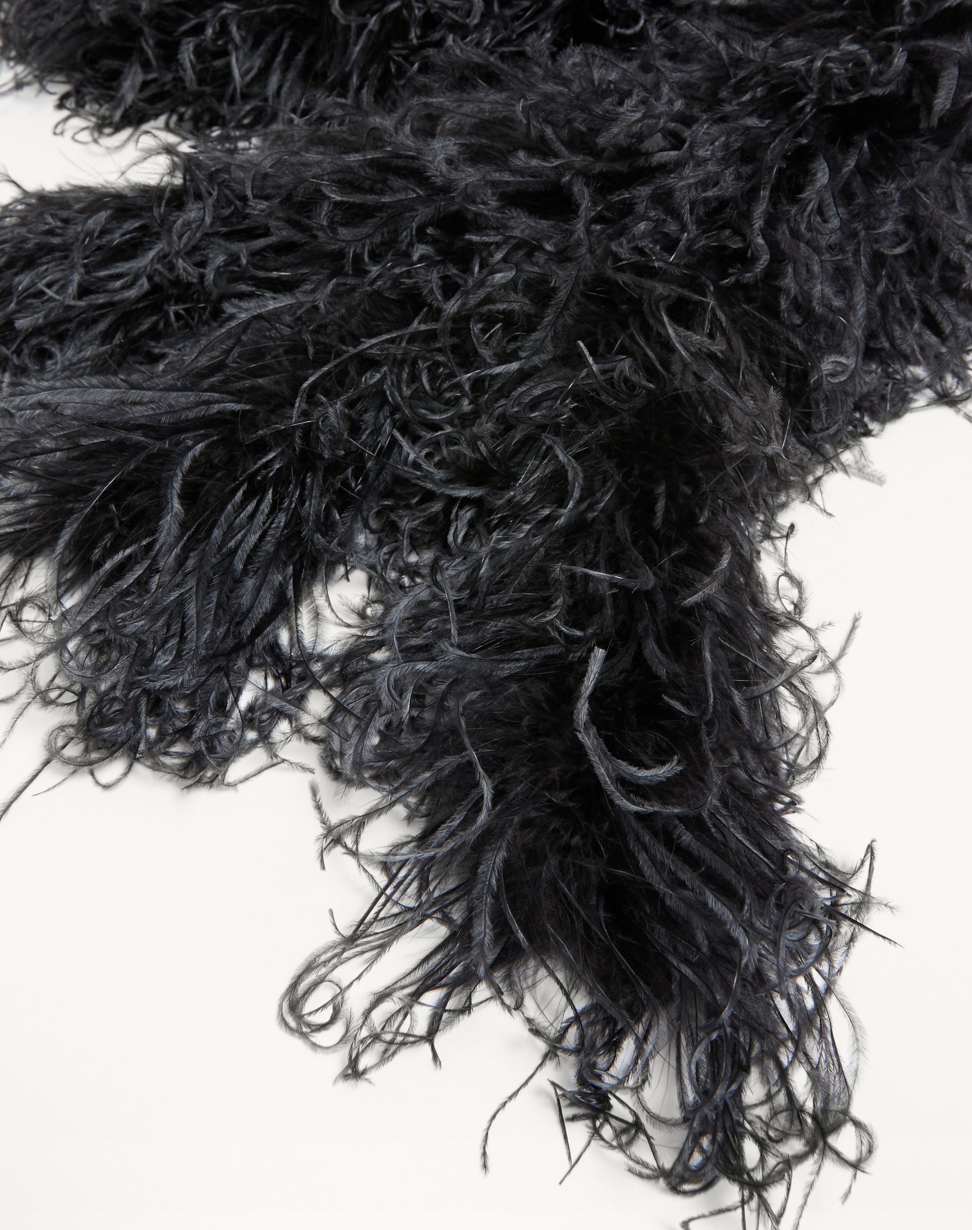 Valentino Feathers Scarf With Ostrich And Turkey Feathers