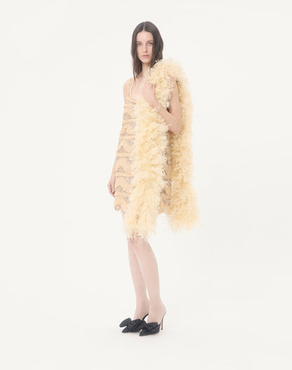 Valentino Feathers Scarf With Ostrich And Turkey Feathers