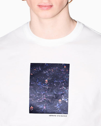 Regular Fit T-shirt in Cotton Jersey