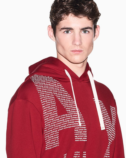 Cotton fleece hoodie with drawstring and front lettering
