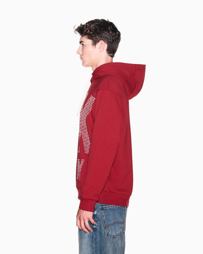 Cotton fleece hoodie with drawstring and front lettering