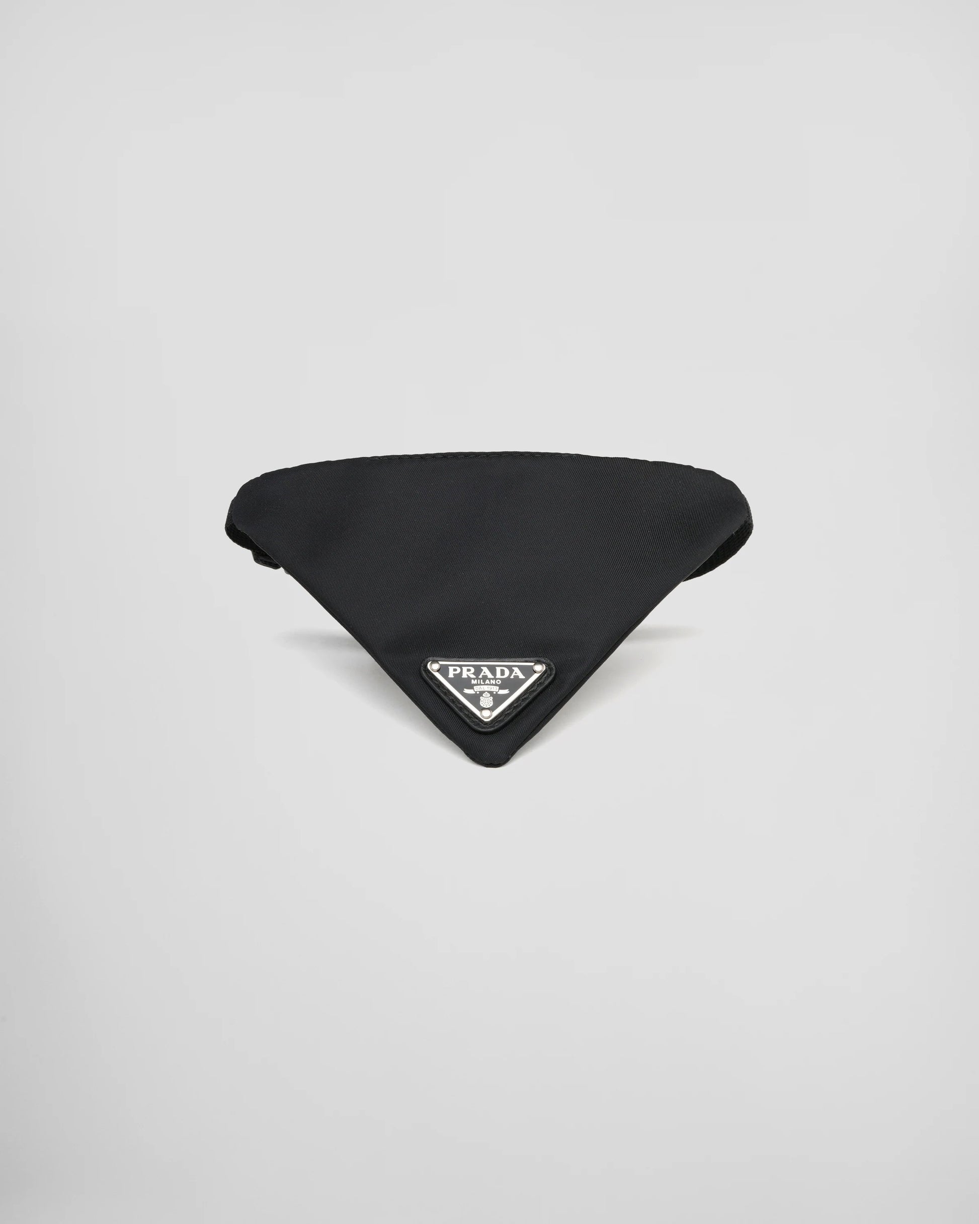 Re-Nylon pet collar