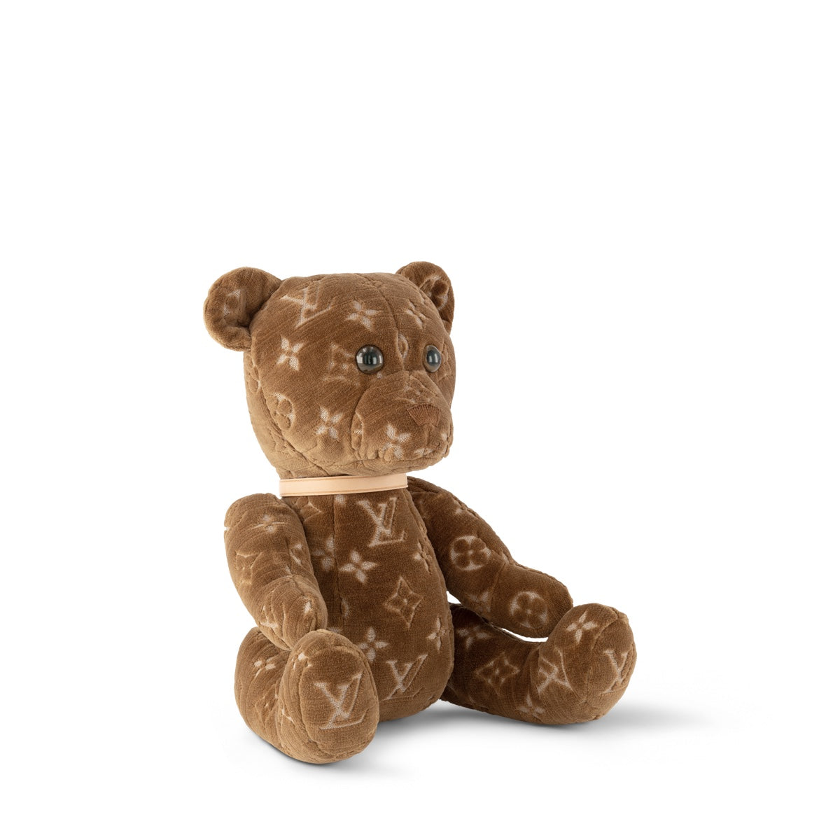 Teddy Bear PM