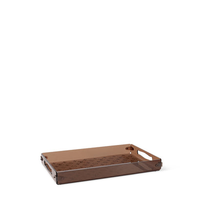Plexiglass PM Tray