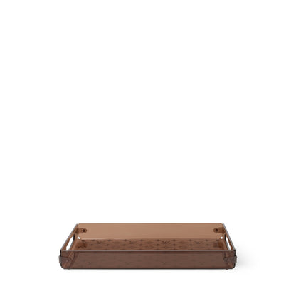 Plexiglass PM Tray
