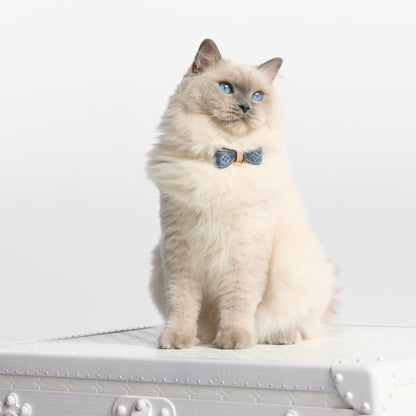 Cat Collar