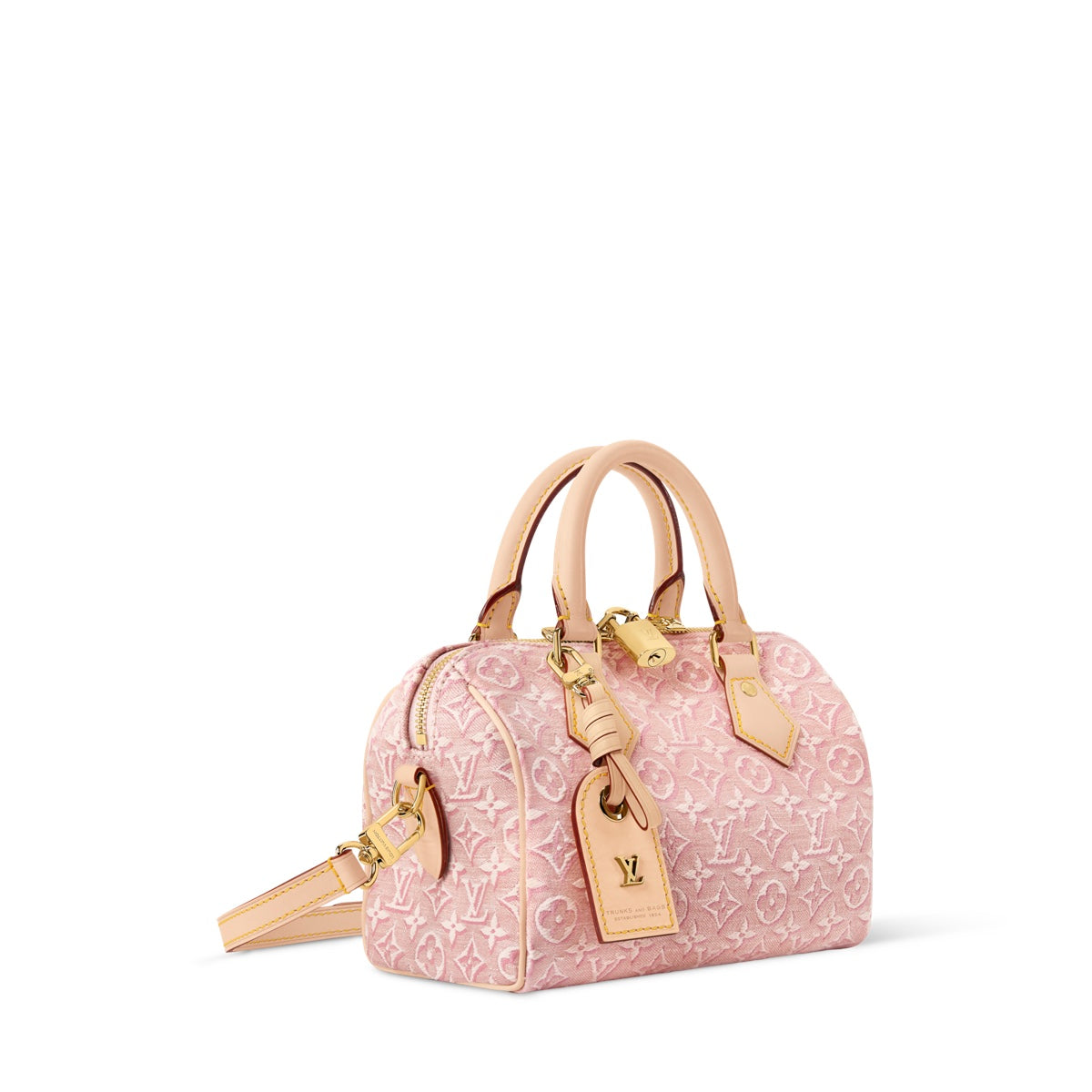 Speedy Bandoulière 20 Bag
