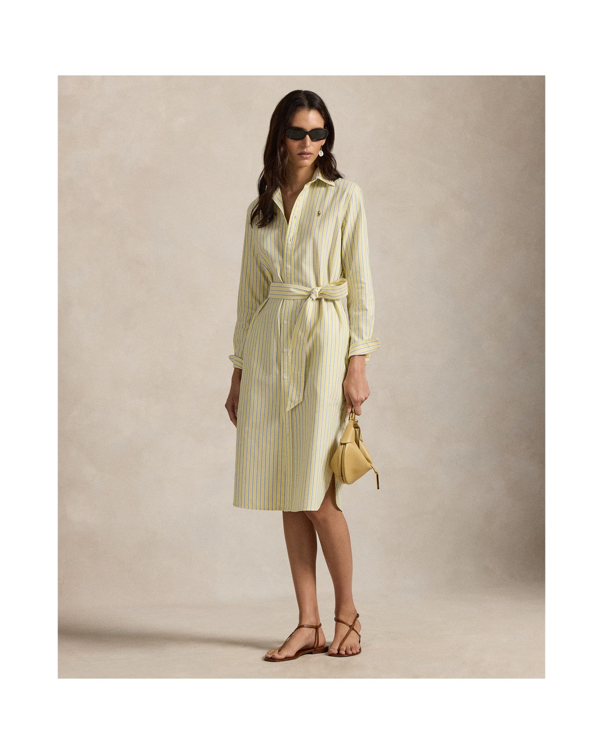 Striped Cotton Oxford Belted Shirt Dress