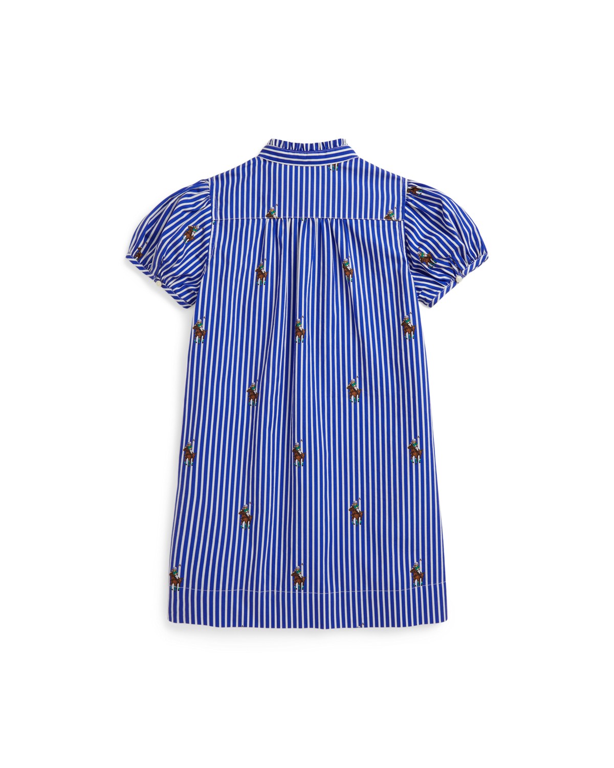 Polo Bear Striped Cotton Poplin Dress