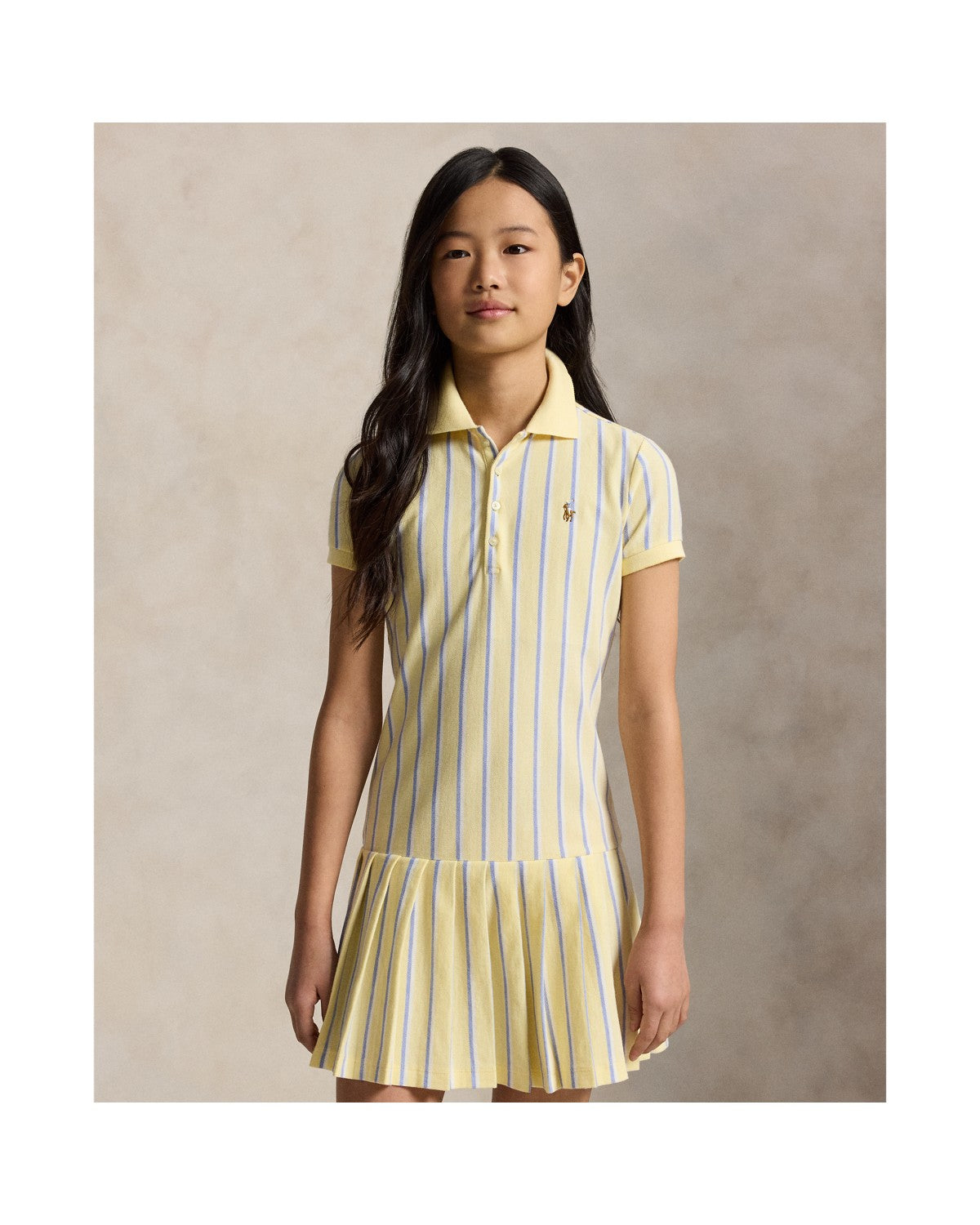 Striped Oxford Mesh Polo Dress